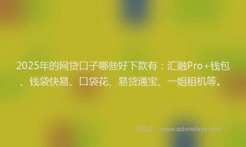 2025年的网贷口子哪些好下款有：汇融Pro+钱包、钱袋快易、口袋花、易贷通宝、一姐租机等。