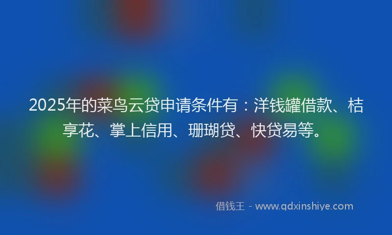 2025年的菜鸟云贷申请条件有：洋钱罐借款、桔享花、掌上信用、珊瑚贷、快贷易等。