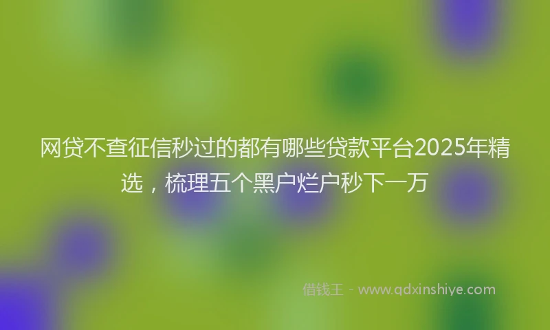 网贷不查征信秒过的都有哪些贷款平台2025年精选，梳理五个黑户烂户秒下一万