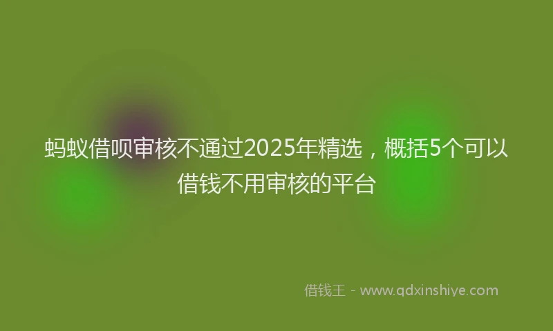 蚂蚁借呗审核不通过2025年精选，概括5个可以借钱不用审核的平台