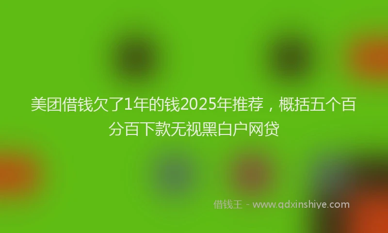 美团借钱欠了1年的钱2025年推荐，概括五个百分百下款无视黑白户网贷