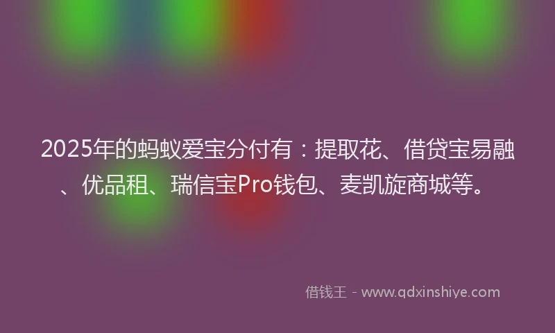 2025年的蚂蚁爱宝分付有：提取花、借贷宝易融、优品租、瑞信宝Pro钱包、麦凯旋商城等。