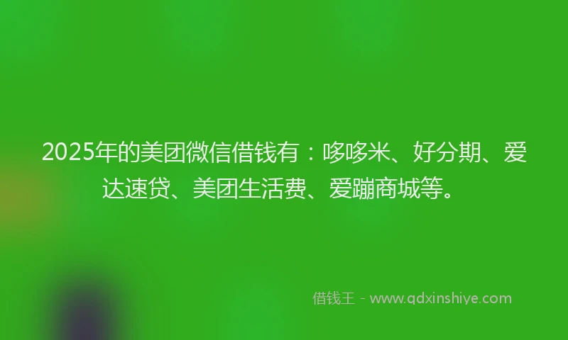 2025年的美团微信借钱有：哆哆米、好分期、爱达速贷、美团生活费、爱蹦商城等。