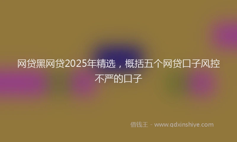 网贷黑网贷2025年精选，概括五个网贷口子风控不严的口子