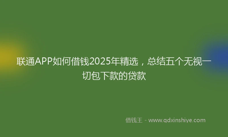 联通APP如何借钱2025年精选，总结五个无视一切包下款的贷款