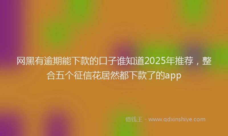 网黑有逾期能下款的口子谁知道2025年推荐，整合五个征信花居然都下款了的app