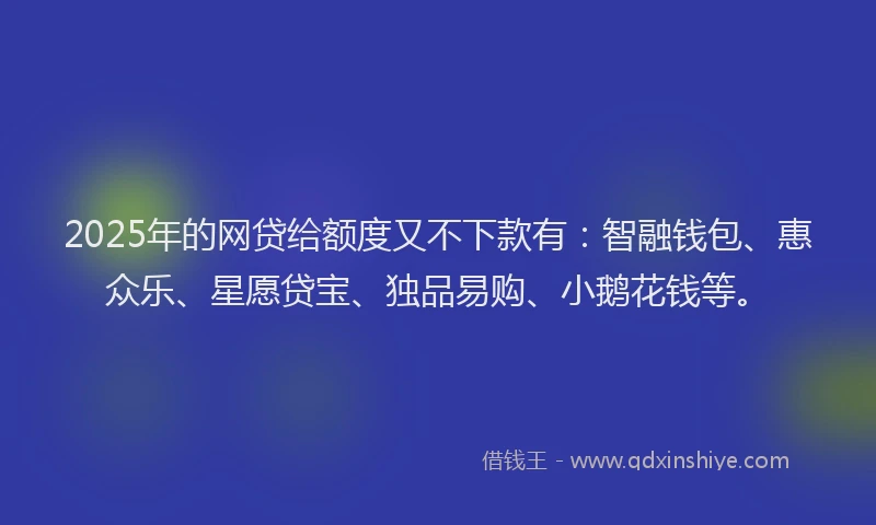 2025年的网贷给额度又不下款有：智融钱包、惠众乐、星愿贷宝、独品易购、小鹅花钱等。