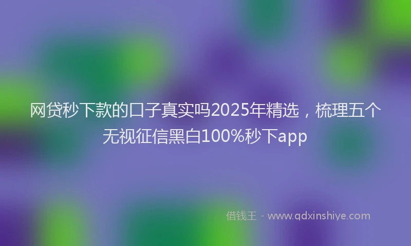 网贷秒下款的口子真实吗2025年精选，梳理五个无视征信黑白100%秒下app