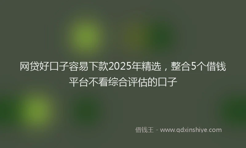 网贷好口子容易下款2025年精选，整合5个借钱平台不看综合评估的口子