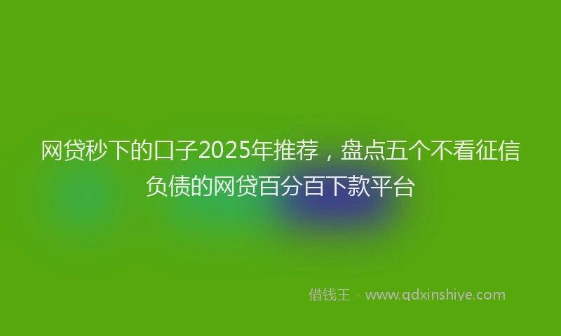 网贷秒下的口子2025年推荐，盘点五个不看征信负债的网贷百分百下款平台