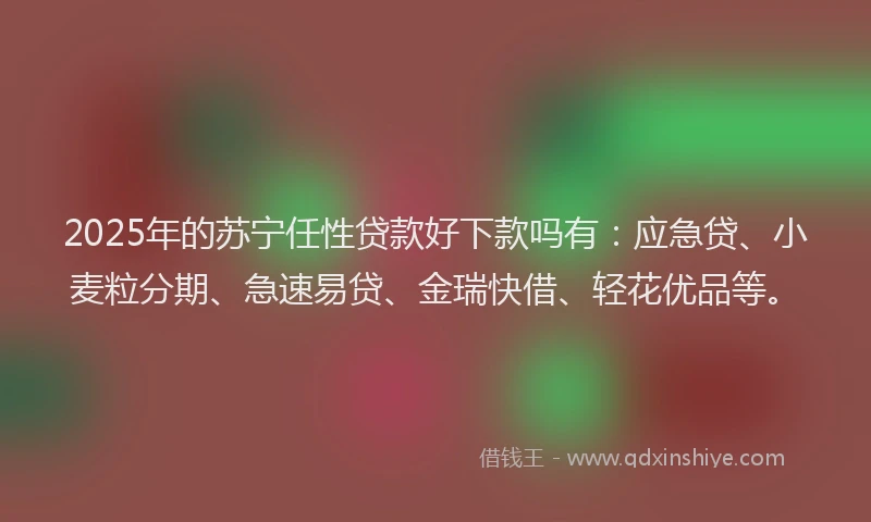 2025年的苏宁任性贷款好下款吗有：应急贷、小麦粒分期、急速易贷、金瑞快借、轻花优品等。