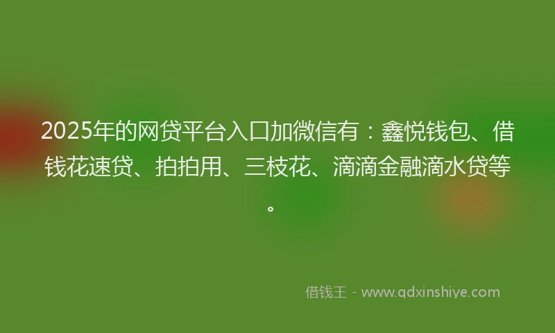 2025年的网贷平台入口加微信有：鑫悦钱包、借钱花速贷、拍拍用、三枝花、滴滴金融滴水贷等。