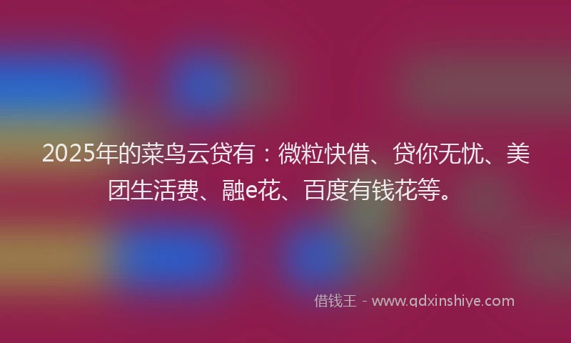 2025年的菜鸟云贷有：微粒快借、贷你无忧、美团生活费、融e花、百度有钱花等。