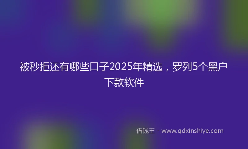 被秒拒还有哪些口子2025年精选，罗列5个黑户下款软件