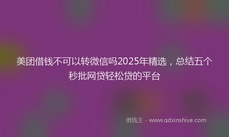 美团借钱不可以转微信吗2025年精选，总结五个秒批网贷轻松贷的平台