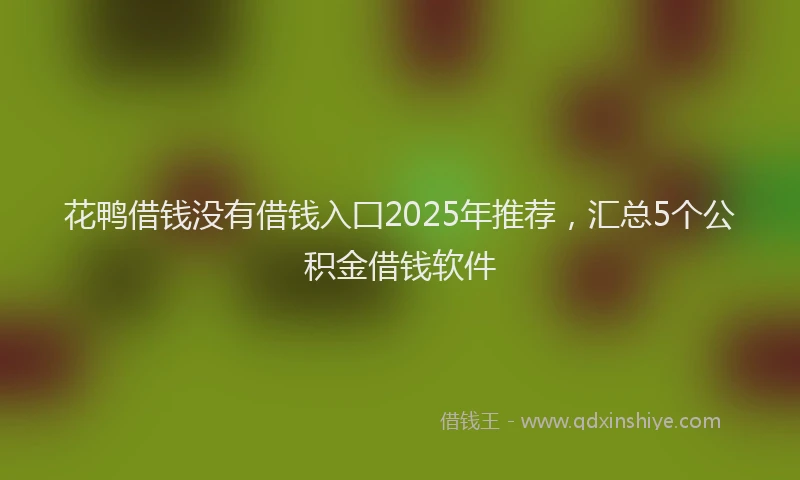 花鸭借钱没有借钱入囗2025年推荐，汇总5个公积金借钱软件