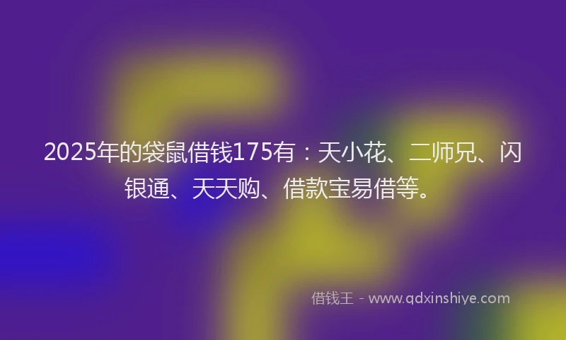 2025年的袋鼠借钱175有：天小花、二师兄、闪银通、天天购、借款宝易借等。