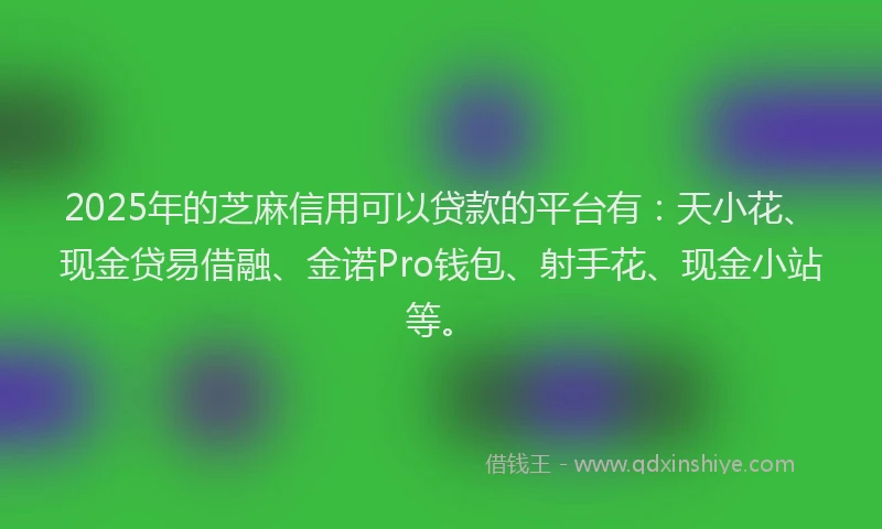 2025年的芝麻信用可以贷款的平台有：天小花、现金贷易借融、金诺Pro钱包、射手花、现金小站等。