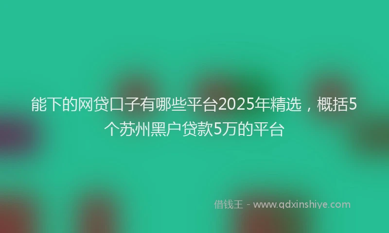 能下的网贷口子有哪些平台2025年精选，概括5个苏州黑户贷款5万的平台