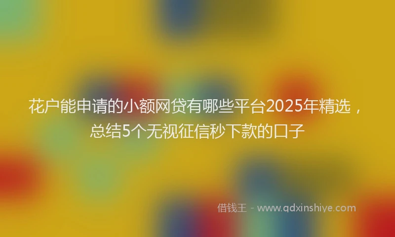 花户能申请的小额网贷有哪些平台2025年精选，总结5个无视征信秒下款的口子