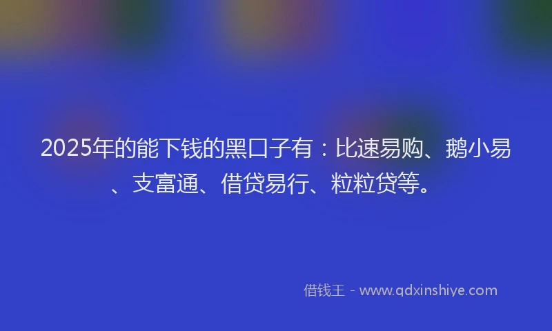 2025年的能下钱的黑口子有：比速易购、鹅小易、支富通、借贷易行、粒粒贷等。