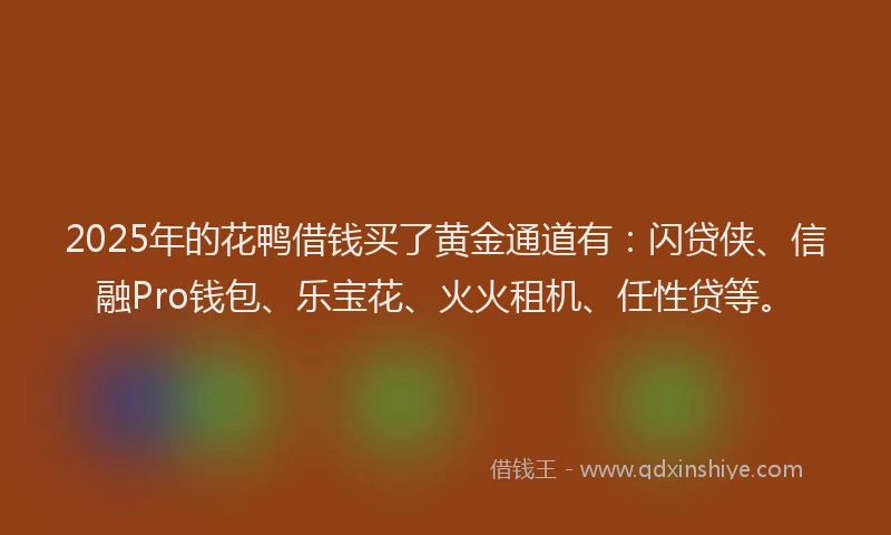 2025年的花鸭借钱买了黄金通道有：闪贷侠、信融Pro钱包、乐宝花、火火租机、任性贷等。