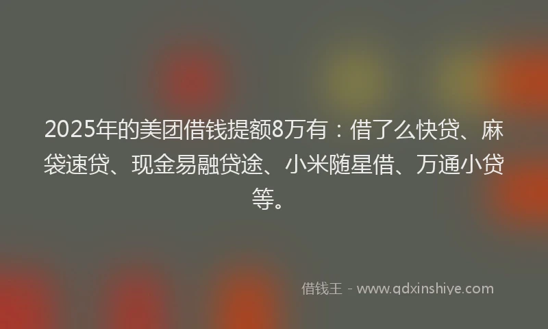 2025年的美团借钱提额8万有：借了么快贷、麻袋速贷、现金易融贷途、小米随星借、万通小贷等。