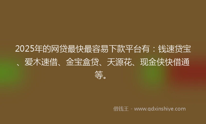 2025年的网贷最快最容易下款平台有：钱速贷宝、爱木速借、金宝盒贷、天源花、现金侠快借通等。