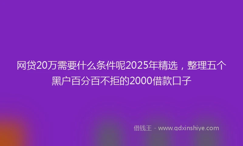 网贷20万需要什么条件呢2025年精选，整理五个黑户百分百不拒的2000借款口子