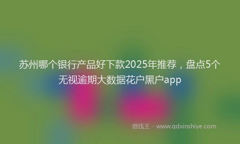 苏州哪个银行产品好下款2025年推荐，盘点5个无视逾期大数据花户黑户app