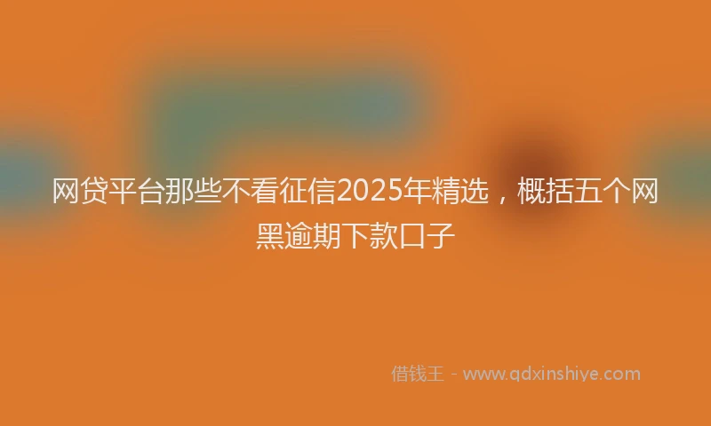 网贷平台那些不看征信2025年精选，概括五个网黑逾期下款口子