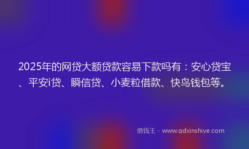 2025年的网贷大额贷款容易下款吗有：安心贷宝、平安i贷、瞬信贷、小麦粒借款、快鸟钱包等。