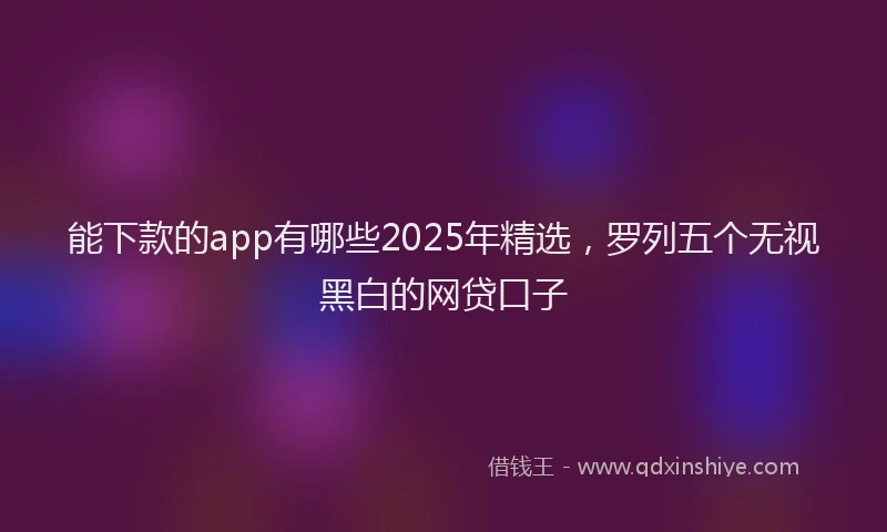 能下款的app有哪些2025年精选，罗列五个无视黑白的网贷口子