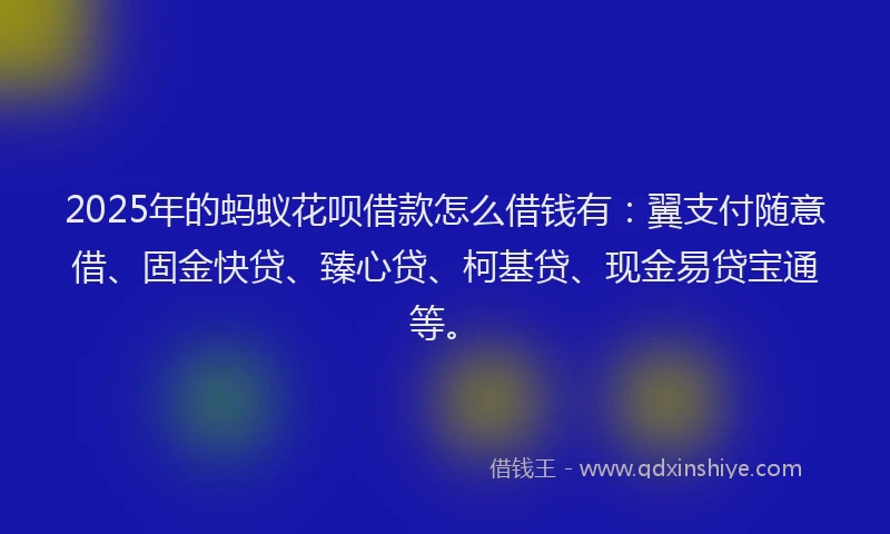 2025年的蚂蚁花呗借款怎么借钱有：翼支付随意借、固金快贷、臻心贷、柯基贷、现金易贷宝通等。