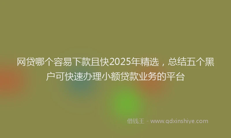 网贷哪个容易下款且快2025年精选，总结五个黑户可快速办理小额贷款业务的平台