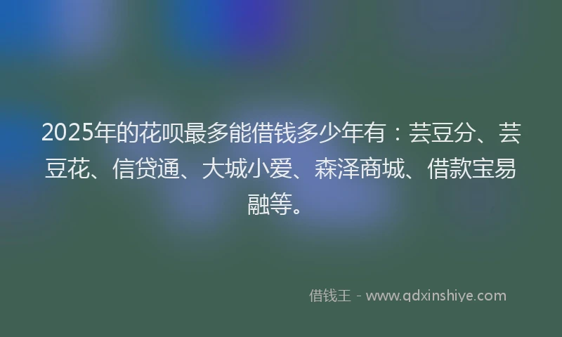 2025年的花呗最多能借钱多少年有：芸豆分、芸豆花、信贷通、大城小爱、森泽商城、借款宝易融等。