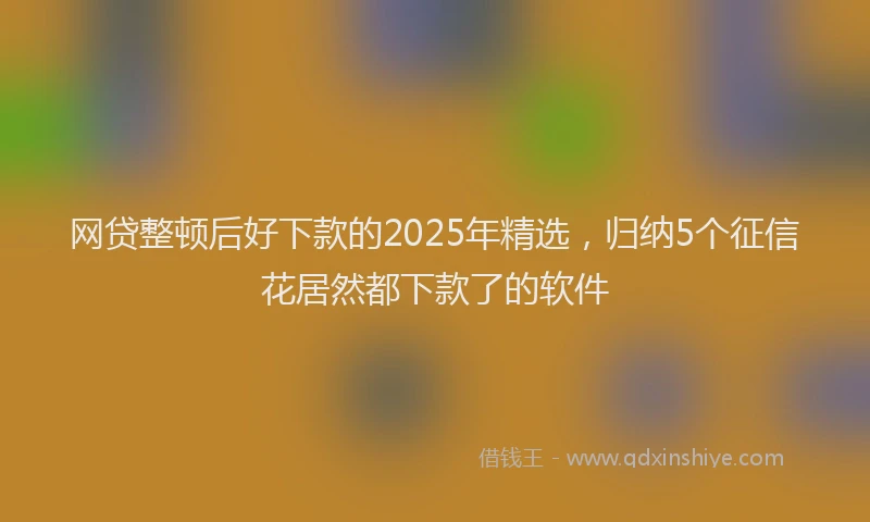 网贷整顿后好下款的2025年精选，归纳5个征信花居然都下款了的软件