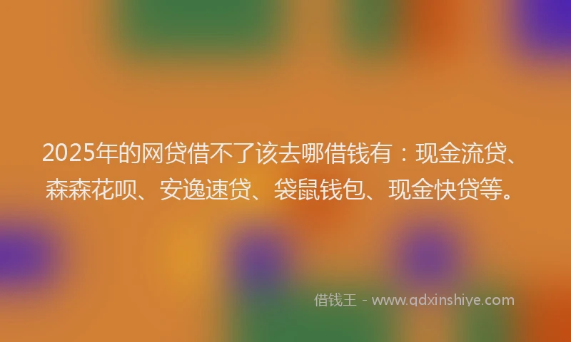 2025年的网贷借不了该去哪借钱有：现金流贷、森森花呗、安逸速贷、袋鼠钱包、现金快贷等。