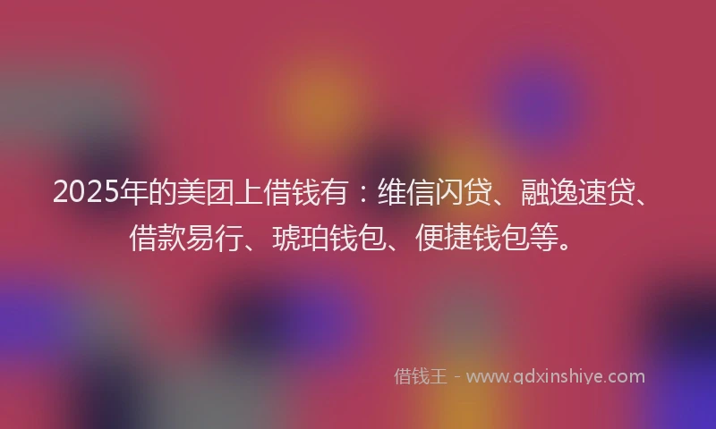 2025年的美团上借钱有：维信闪贷、融逸速贷、借款易行、琥珀钱包、便捷钱包等。