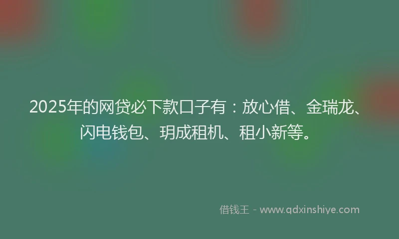 2025年的网贷必下款口子有：放心借、金瑞龙、闪电钱包、玥成租机、租小新等。
