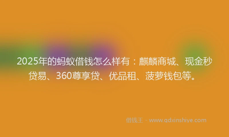 2025年的蚂蚁借钱怎么样有：麒麟商城、现金秒贷易、360尊享贷、优品租、菠萝钱包等。