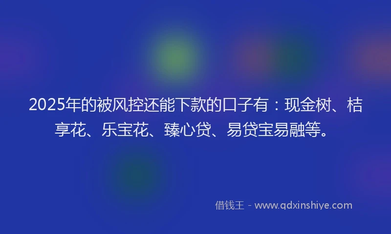 2025年的被风控还能下款的口子有：现金树、桔享花、乐宝花、臻心贷、易贷宝易融等。