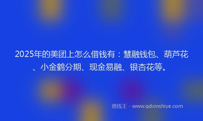 2025年的美团上怎么借钱有：慧融钱包、葫芦花、小金鹤分期、现金易融、银杏花等。