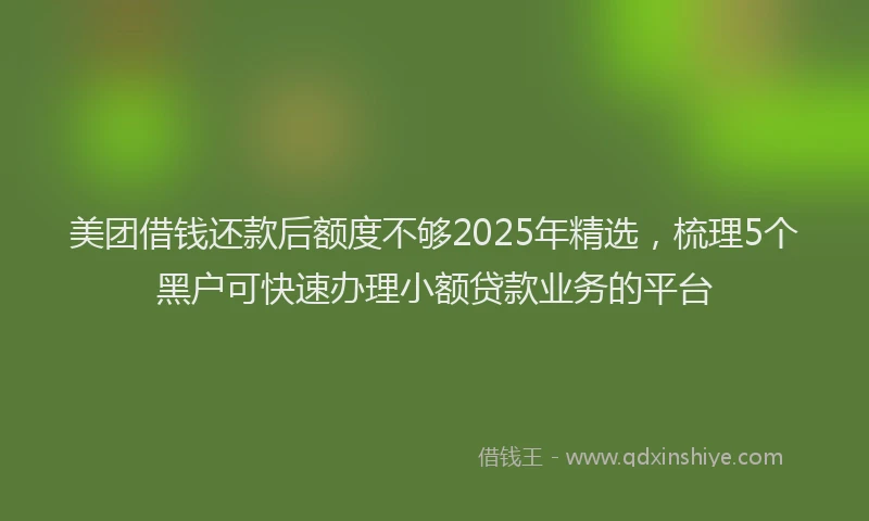 美团借钱还款后额度不够2025年精选，梳理5个黑户可快速办理小额贷款业务的平台