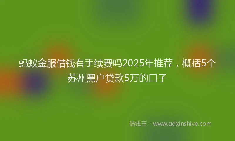 蚂蚁金服借钱有手续费吗2025年推荐，概括5个苏州黑户贷款5万的口子
