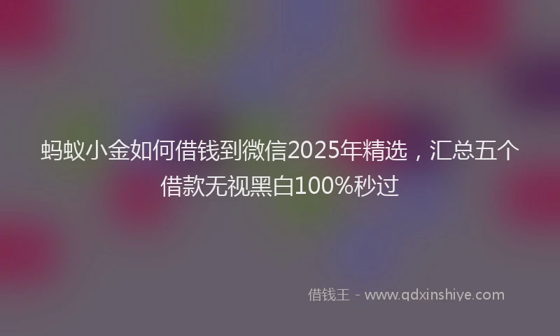 蚂蚁小金如何借钱到微信2025年精选，汇总五个借款无视黑白100%秒过