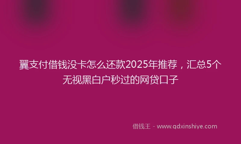 翼支付借钱没卡怎么还款2025年推荐，汇总5个无视黑白户秒过的网贷口子