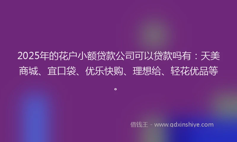 2025年的花户小额贷款公司可以贷款吗有：天美商城、宜口袋、优乐快购、理想给、轻花优品等。