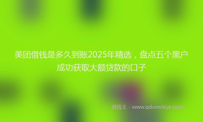 美团借钱是多久到账2025年精选，盘点五个黑户成功获取大额贷款的口子