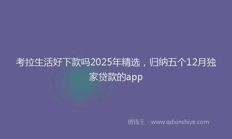 考拉生活好下款吗2025年精选，归纳五个12月独家贷款的app